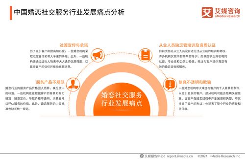 2024-2025年中國婚戀社交服務(wù)市場研究報(bào)告 趨勢、挑戰(zhàn)與機(jī)遇
